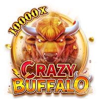 CRAZY BUFFALO